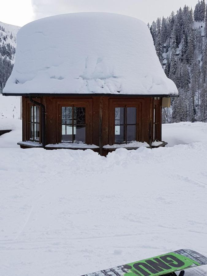 Haus Bayliss * Zederhaus